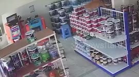Clumsy pet cat knocks buckets of paint from shop shelves