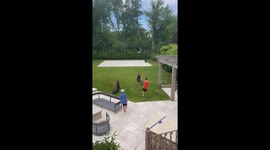 They're the Dog's Shorts Now