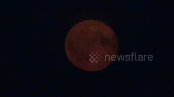 Full Sturgeon Supermoon appeared in the sky of St Petersburg, Russia
