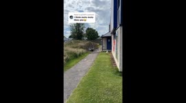 Peacock chases peahen to I think moto moto likes you sound