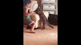 Little Boy Does Everything With His Raccoon Best Friend