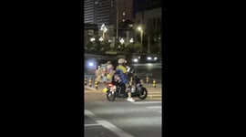 Puppy rides pillion surrounded by cuddly toys on motorcycle
