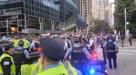 US: Pro-Palestine Protesters Clash With Police Outside Chicago Israeli Consulate Amid DNC