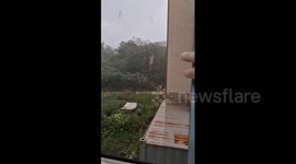 South Korea: Typhoon Jongdari Brings Heavy Rainfall, Strong Winds 3