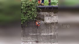 China: Wild Musk Deer Rescued After Trusting Firefighters' Compassionate Eyes in Sichuan