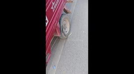Chinese child climbs utility pole to evade scolding