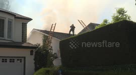 USA: Toluca Lake 2 Cats Perish in Greater Alarm Structure Fire