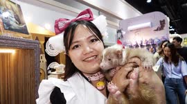 Skunks, dogs, and rabbits dressed up at Bangkok's pet expo, a huge event