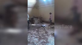 India: Chaos in central India as 1.5m cobra found in warehouse