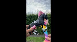Throws a toy of a horse and a mermaid and the clip transitions into real life version of the toys