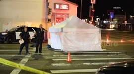 USA: Marina Del Rey Pedestrian Struck and Killed