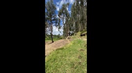 Person falls off bicycle after failed jump in Riobamba, Ecuador