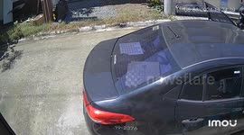 Three large dogs escape and surround installer outside home in Bulacan, Philippines