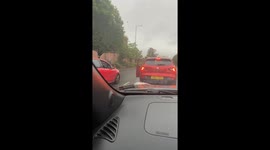 Lady chases goose causing traffic delay in Ashton, Manchester