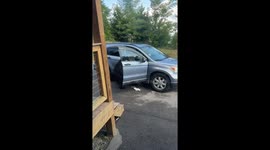 Tennessee resident drives bear out of car with noise