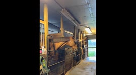 Horse makes funny noises with mouth in Ohio