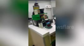 Moment Subway worker launches footlong cookie at customer