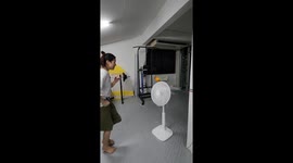 Sun conure parrot dances on top of fan with owner