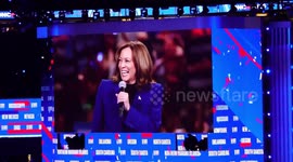 Harris selected as Democratic presidential nominee in ceremonial roll call vote