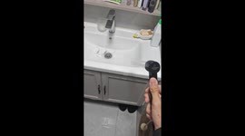 Kittens scatter when they're hit with water spray