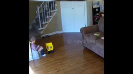 Toddler on Potty Hilariously Interrupts Dad's Talk About New Baby Twins