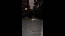 Father walks his baby under night lights in China