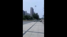 Pet parrot successfully escapes from eagle's chase in China