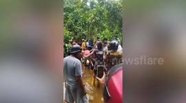 Grandmother, 54, eaten alive by crocodile while washing pots in river in Indonesia