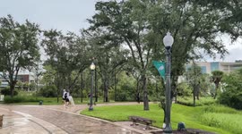 Rainy Afternoon at FGCU Campus