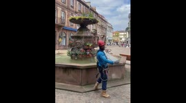 Person attacked by bees after disturbing them in Haguenau, France