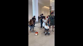 Tortoise pets dressed as pirates wander through shopping mall