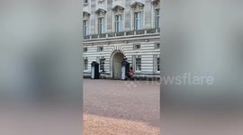 Buckingham Palace guard slips and lands on his bottom while on duty