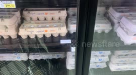 Bird flu outbreak raises cost of eggs in US again