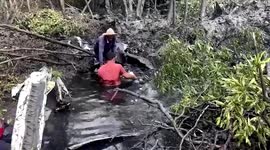 Pilots and seven tourists feared dead as private jet crashes into forest in Thailand
