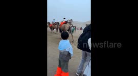 Tourist injured after falling off out-of-control camel at Chinese scenic area