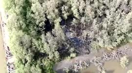 Rescue teams battle rising water levels in search for pilots and seven tourists in submerged plane