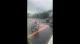 Pet dog with helmet rides pillion on electric scooter