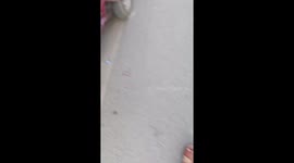 Chinese child climbs utility pole to evade scolding