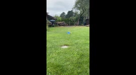 Rave Sprinkler