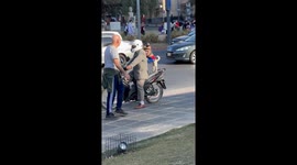 Pup Rides on Back of Motorcycle