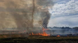 Smoke Tornado Over Wildfire