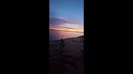 Close encounter with a wild goose at the seaside in Trysunda, Sweden