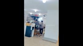 Duck lands on staff member’s shoulder at Assonet Animal Hospital, Massachusetts