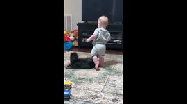 Toddler Stumbles Into Cat