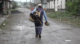 Oropouche virus emerging in Latin America
