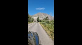 Bear cub crosses road to join another in Waterton Park, Alberta