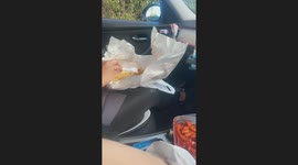 Cat startles friends by jumping into car window in Heswall, UK