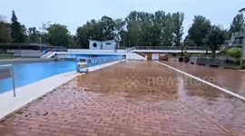 Two wild boars splash around in public swimming pool to beat the summer heat