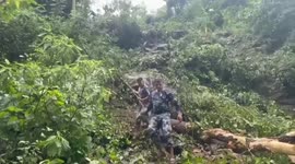 14 dead after Indian passenger bus veers off road in Nepal