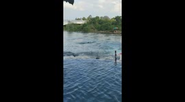 Onlooker swims over to struggling child to provide float